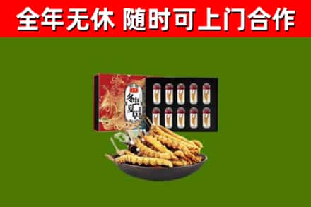 周村区烟酒回收冬虫夏草礼盒.jpg